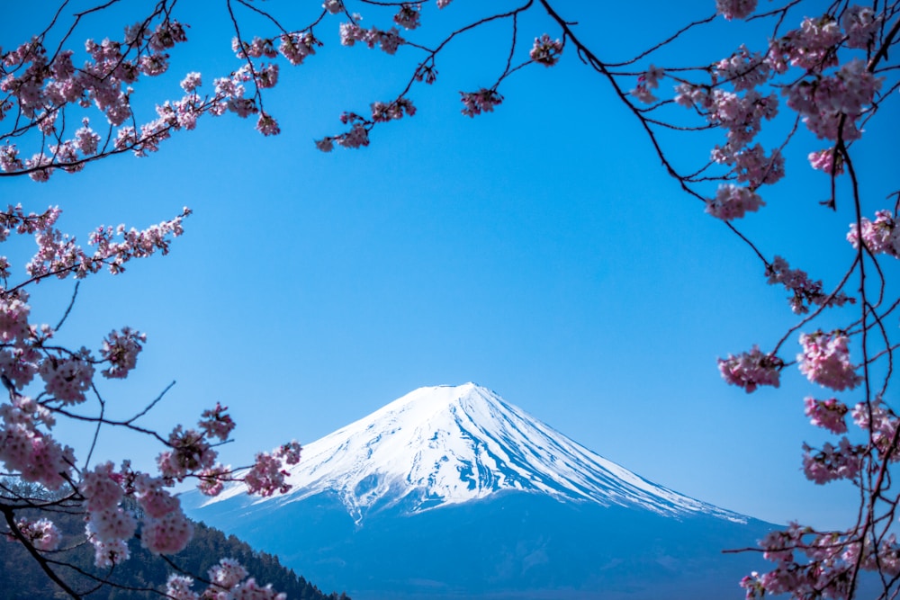 Mount Fuji and Lake Kawaguchi, Japan